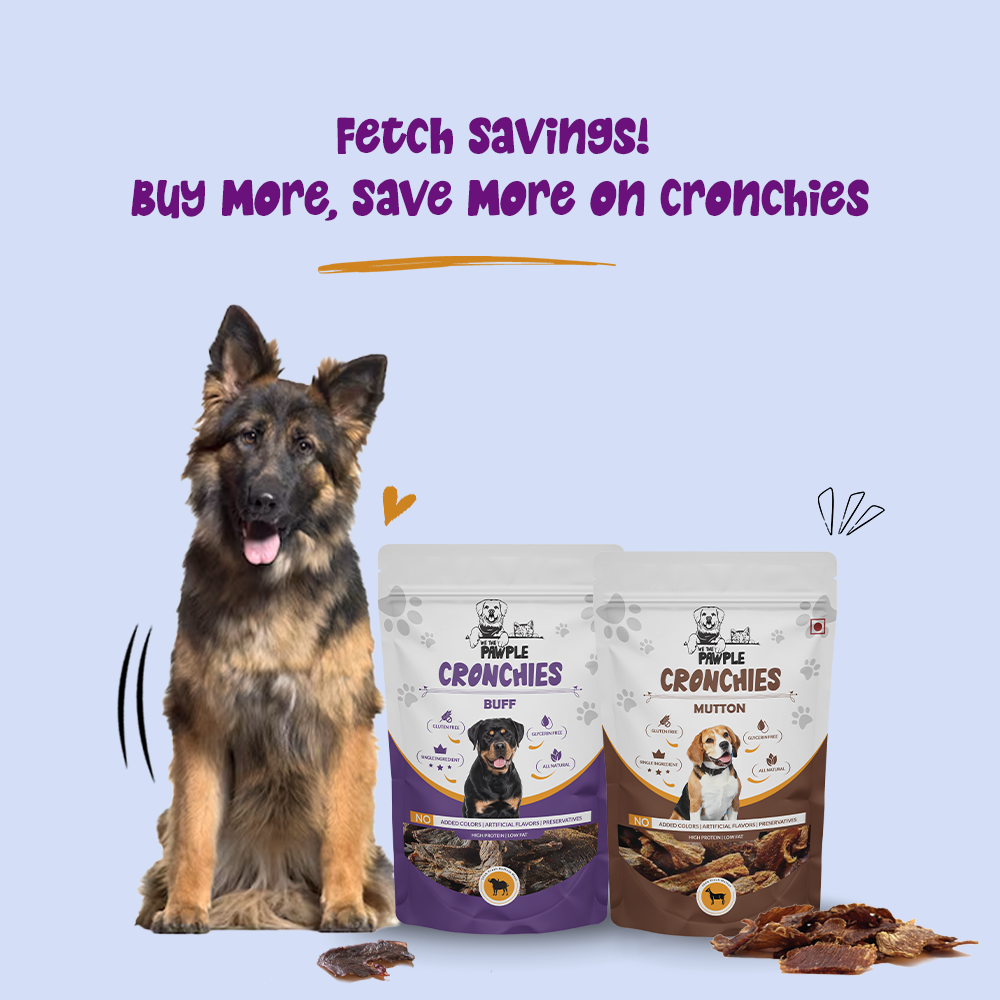 Buy dog treats
