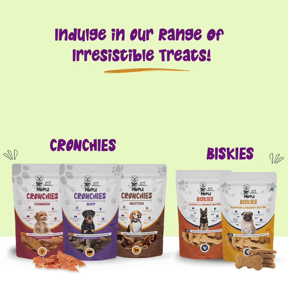 Healthy dog treats