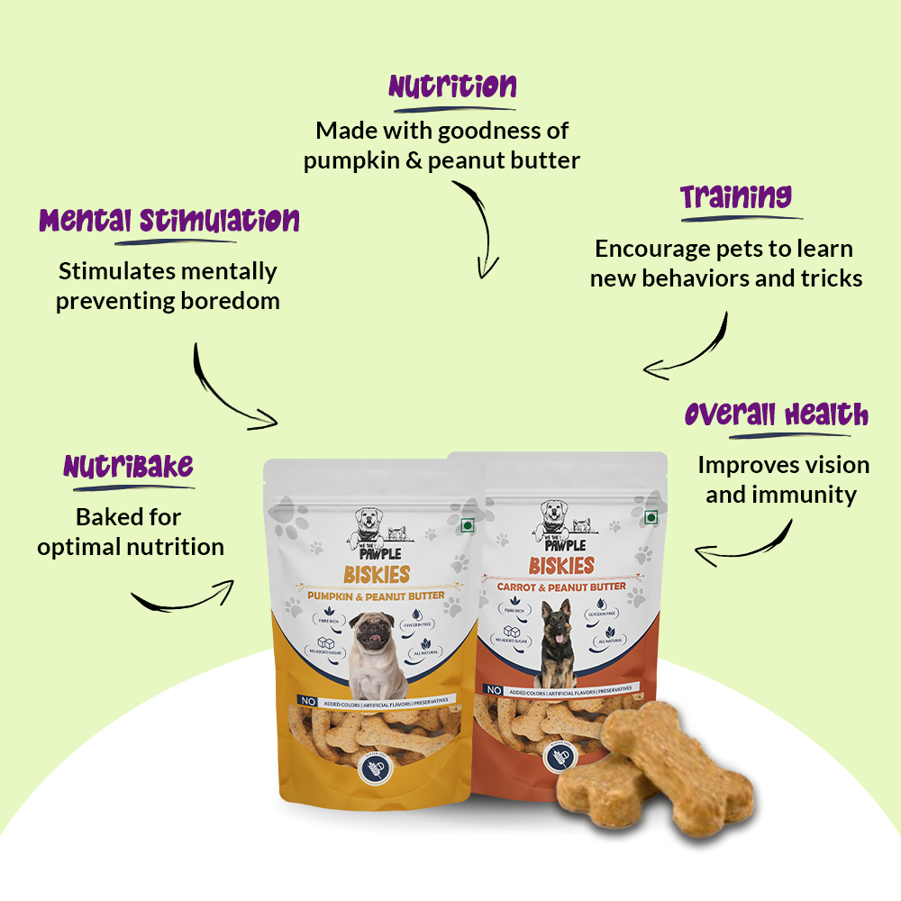 Buy dog food online