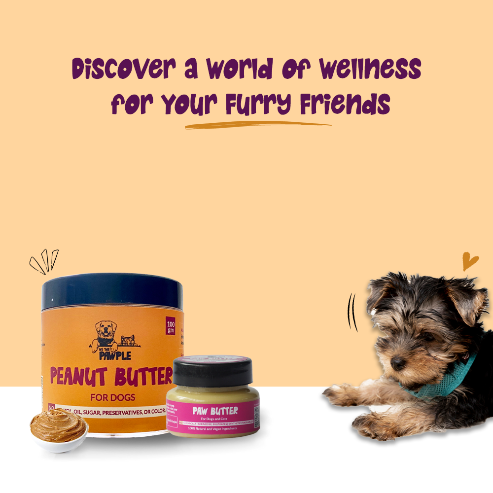 Natural dog food