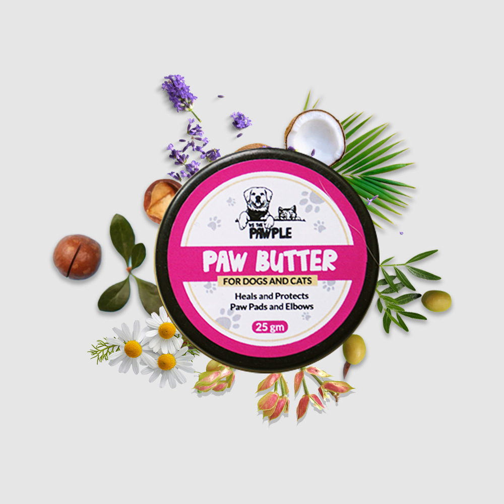 Natural dog treats