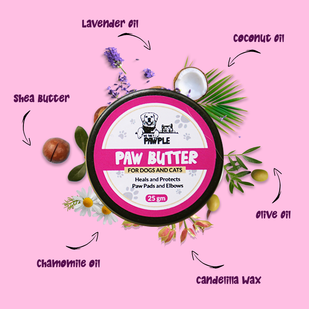 Dog food Mumbai