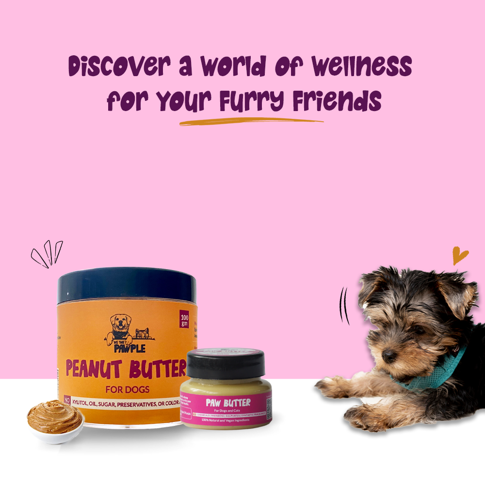 Dog biscuits online
