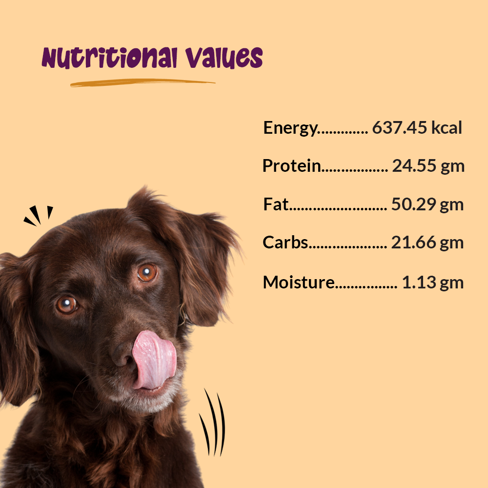 High Protein Dog Food