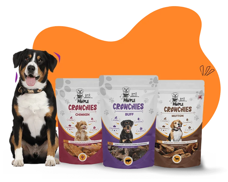 Grain free dog food