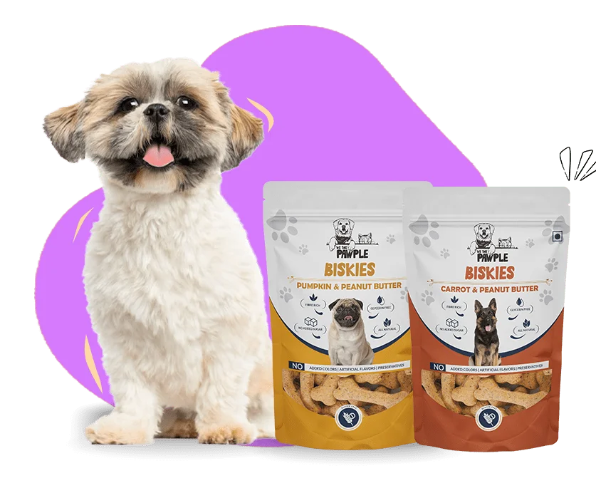 High Protein Dog Food