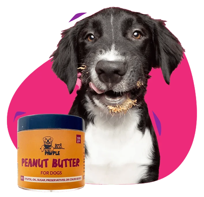 Buy dog food online