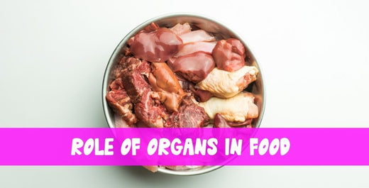 Organs: Add Magic to Your Dog’s Food