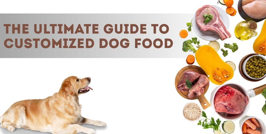 Customized Dog Food in India