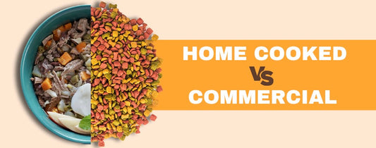 Banner of fresh dog food in comparison with kibble