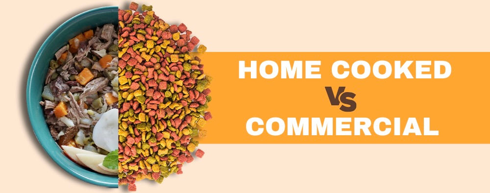 Banner of fresh dog food in comparison with kibble