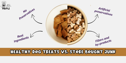 Healthy Dog Treats