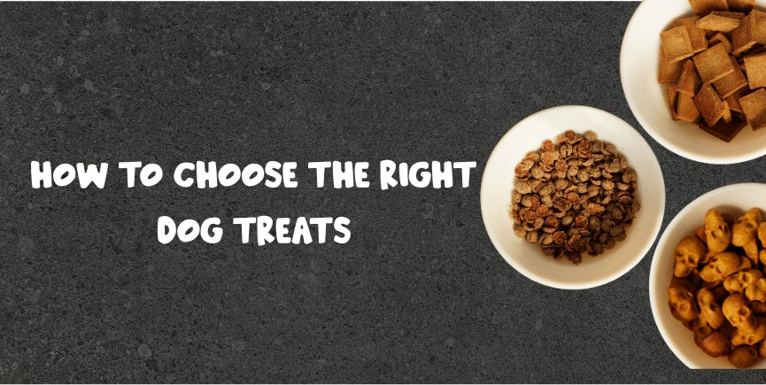 Right Dog Treats