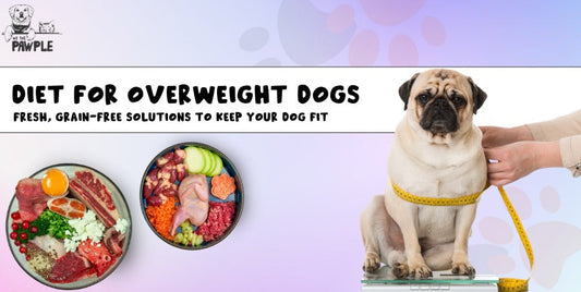 Natural Dog Food