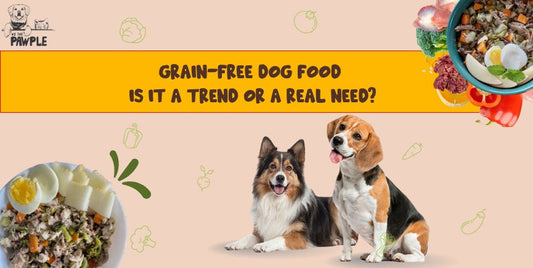 grain free dog food