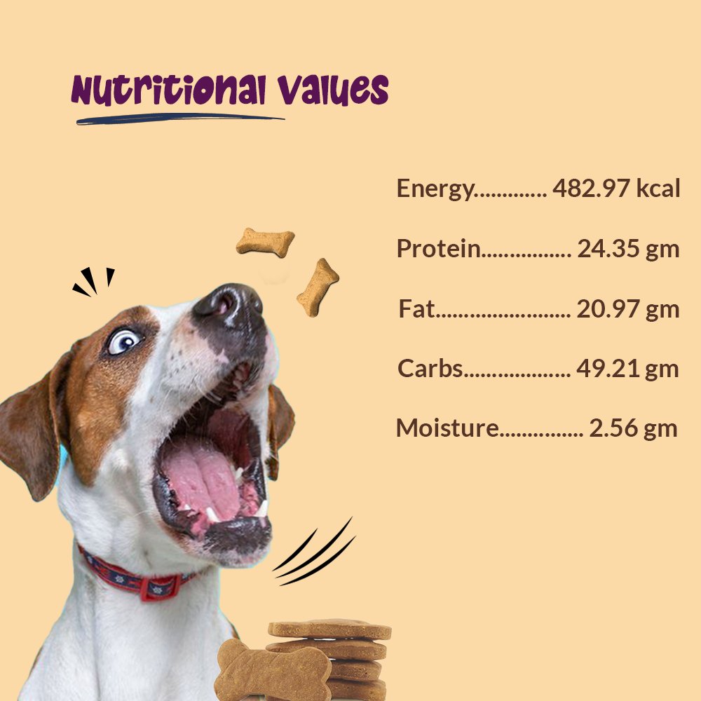 Buy dog food online