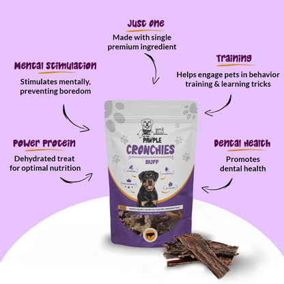 High Protein Dog Food