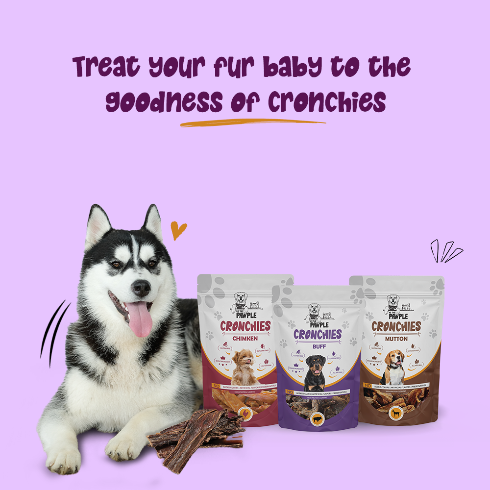 Buy dog food online