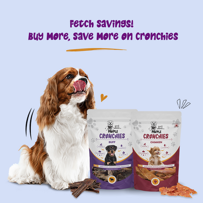 Dog biscuits online