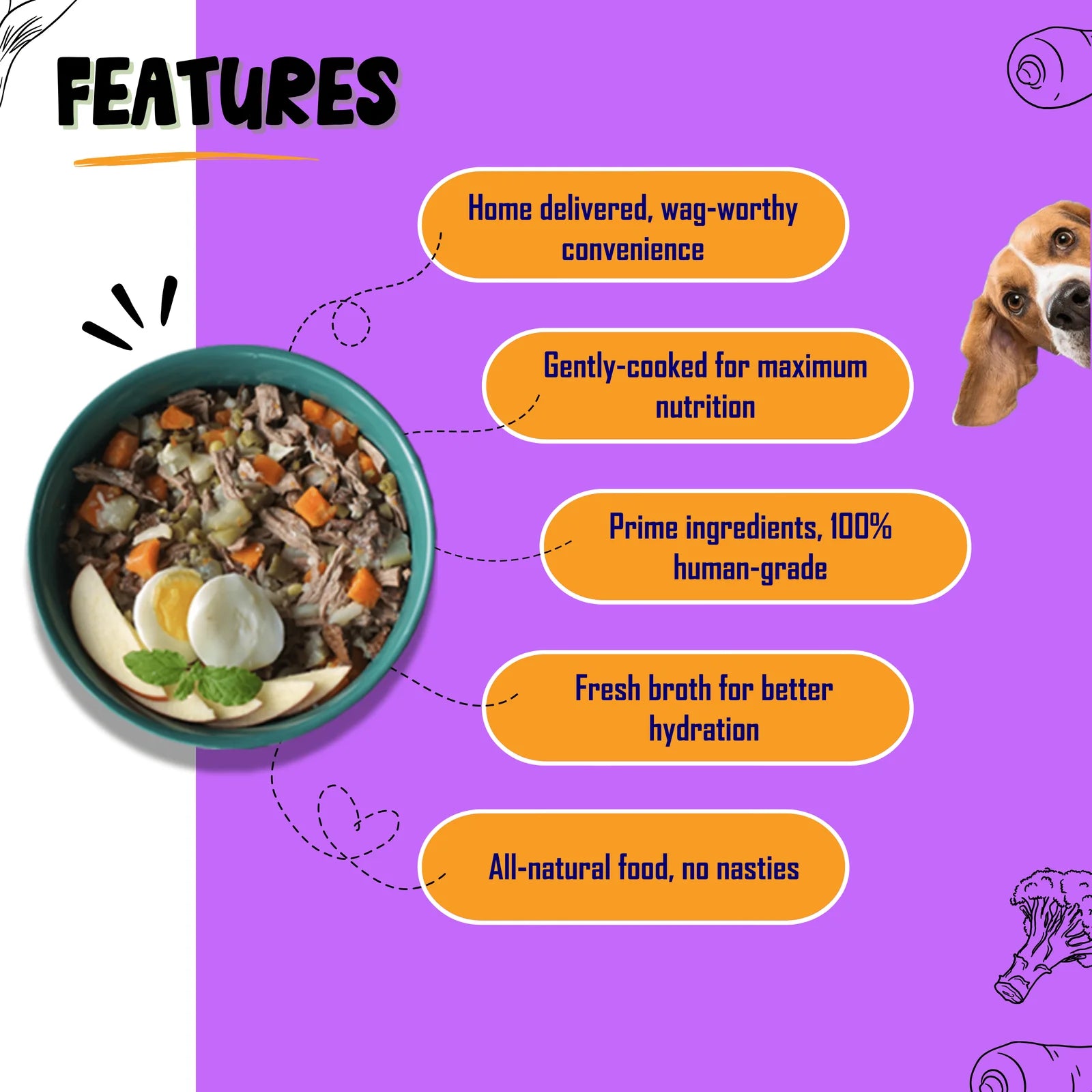 Buy dog food online