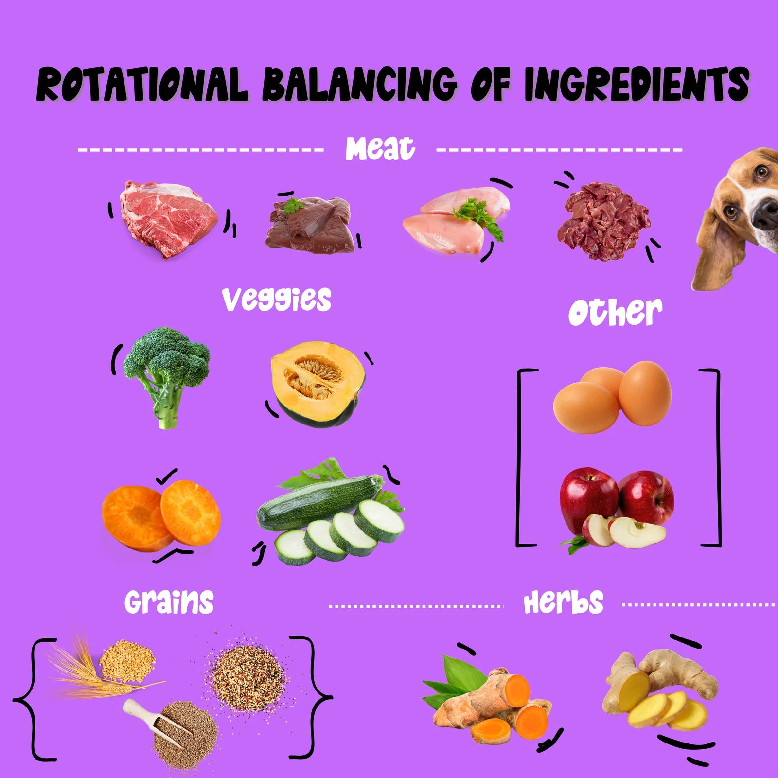 Healthy dog treats