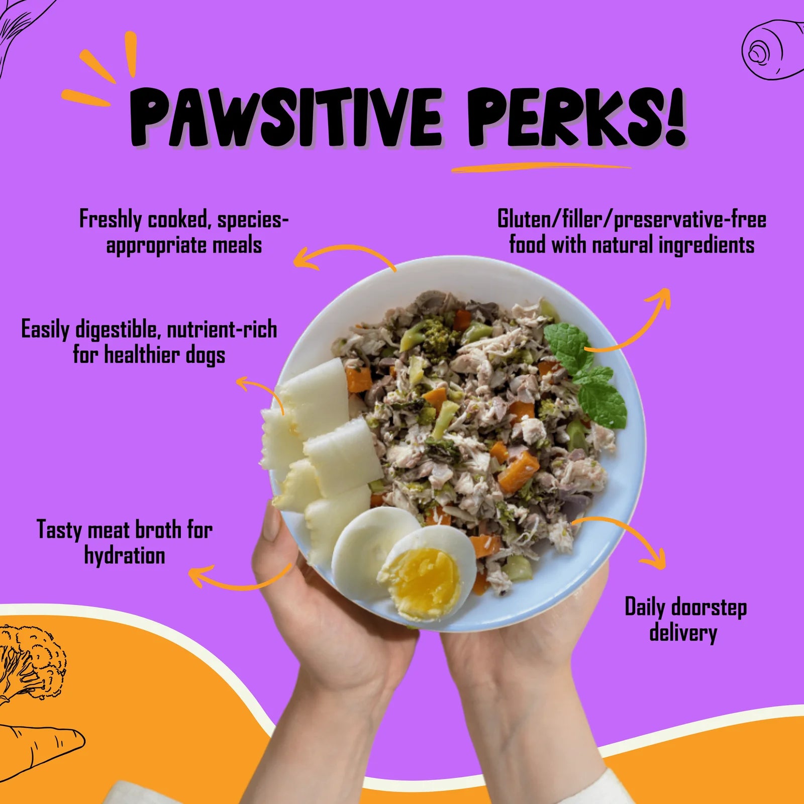 Healthy dog treats